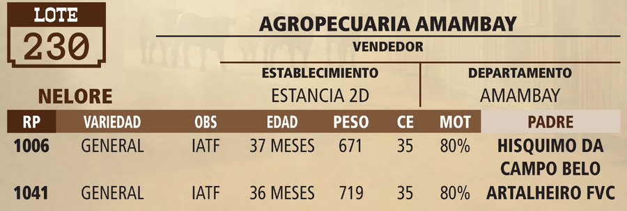 Lote LOTE 230 - VIVO