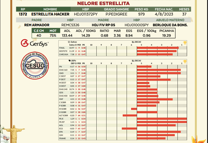 Lote LOTE 1