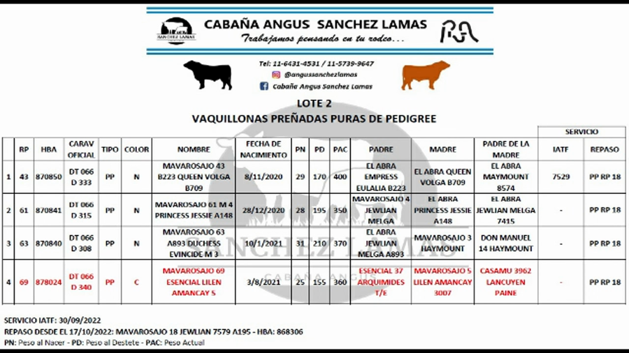 Lote Vaquillonas Preñadas PP  - SANCHEZ LAMAS