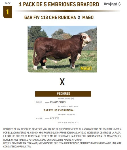 Lote PACK 1