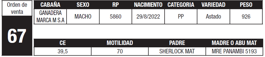 Lote LOTE 67