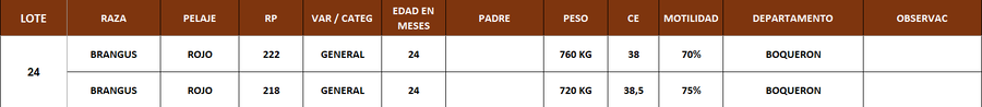 Lote LOTE 24