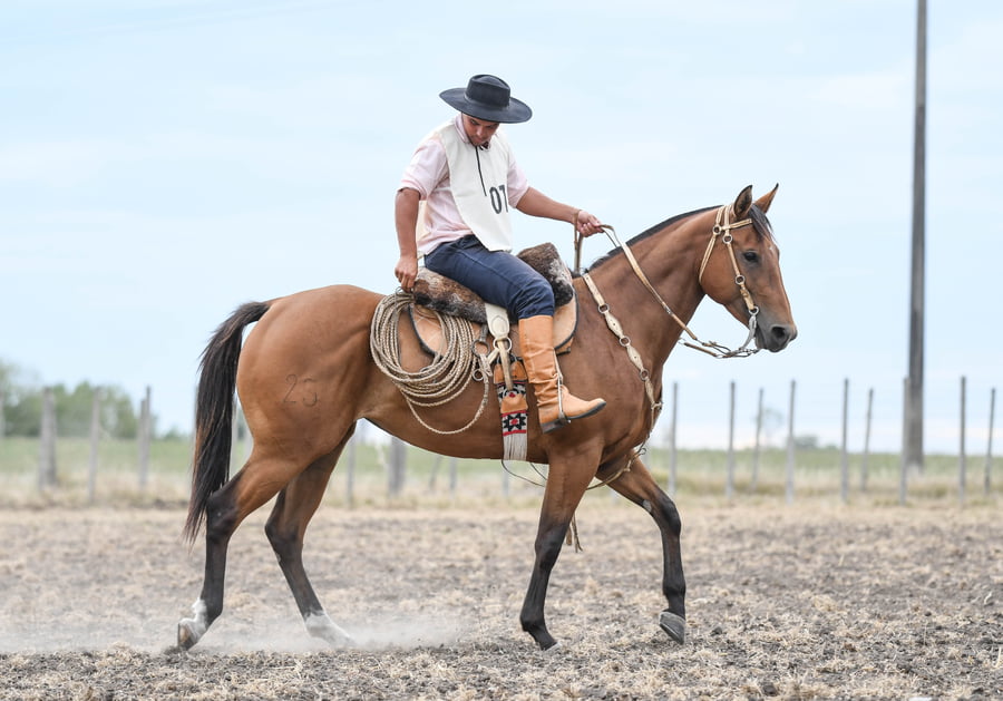 Lote PLATEADA SHAROU 2A