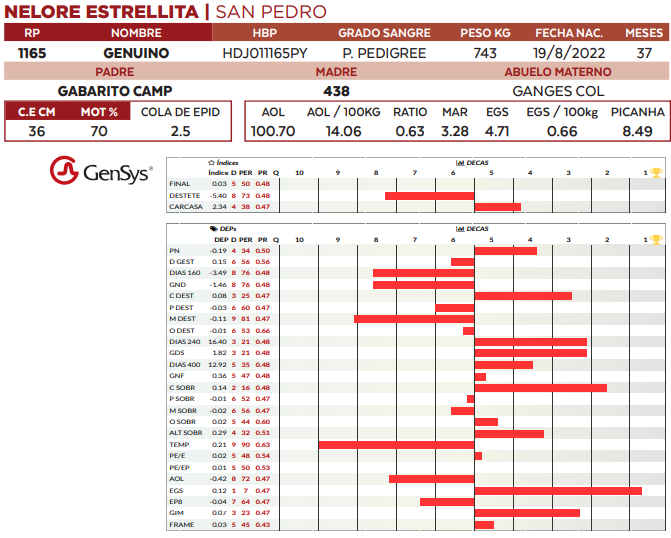 Lote LOTE 72