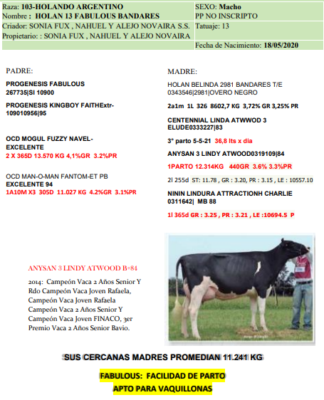 Lote Lote 96 Sonia Fux