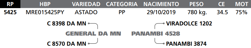 Lote LOTE 62 - RP 5425