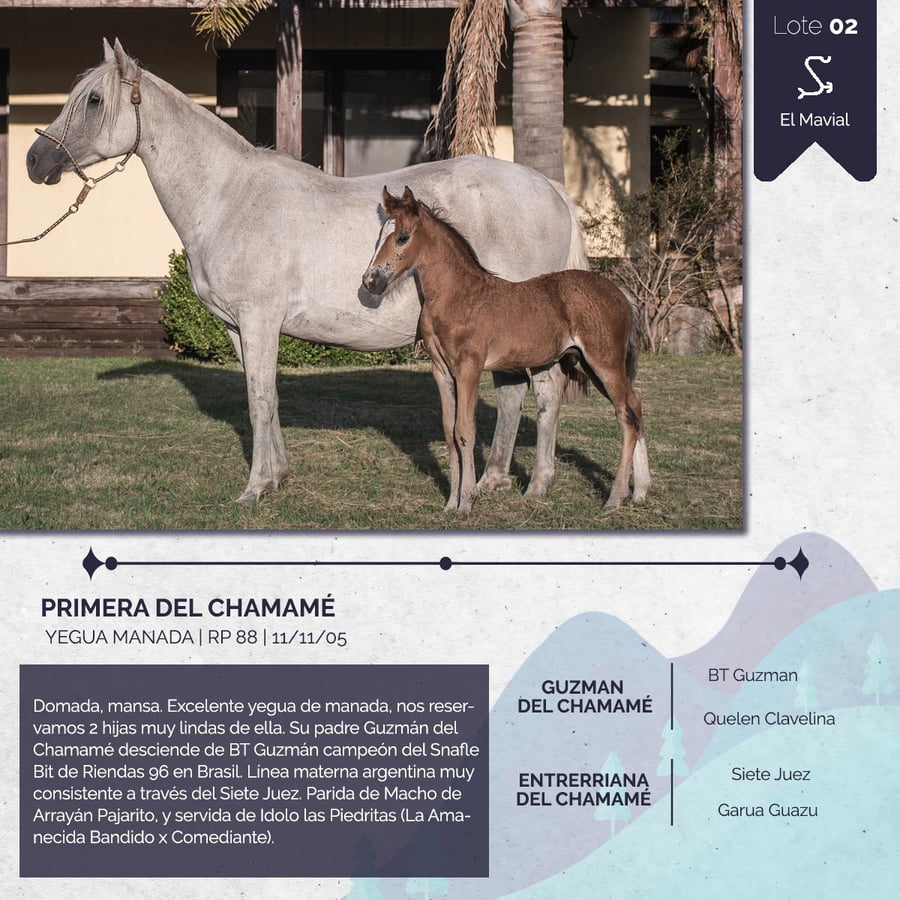Lote PRIMERA DEL CHAMAME