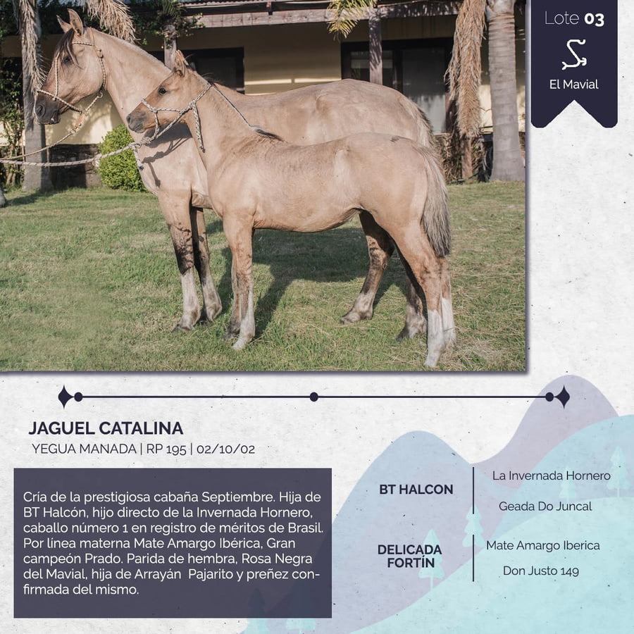 Lote JAGUEL CATALINA