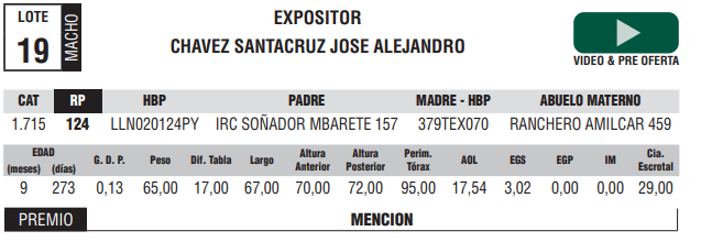 Lote LOTE 19