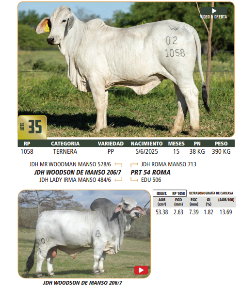 Lote LOTE 35