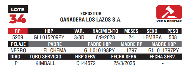 Lote LOTE 34 - CAMPO