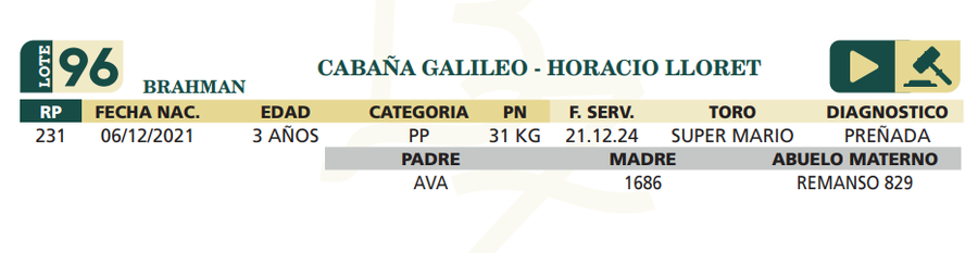 Lote LOTE 96