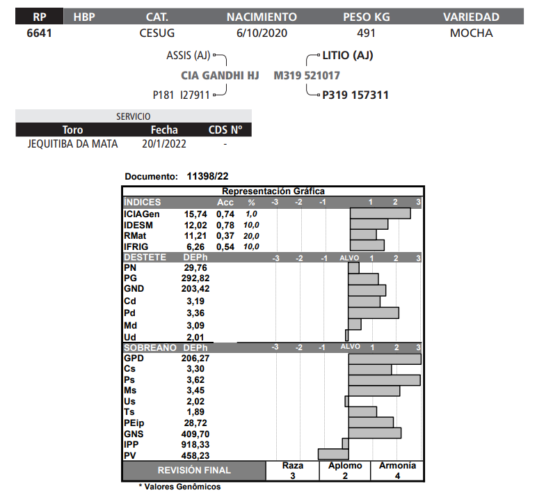Lote LOTE 7
