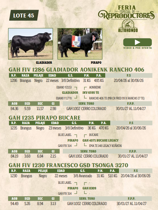 Lote LOTE 45