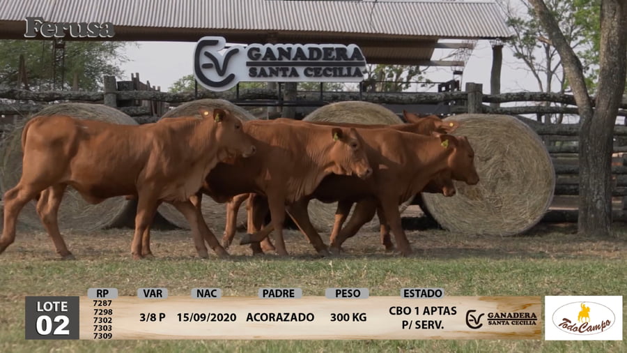 Lote Ganadera Santa Cecilia - Lote 2