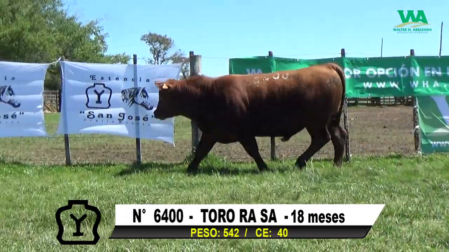 Lote TORO Nº 6400