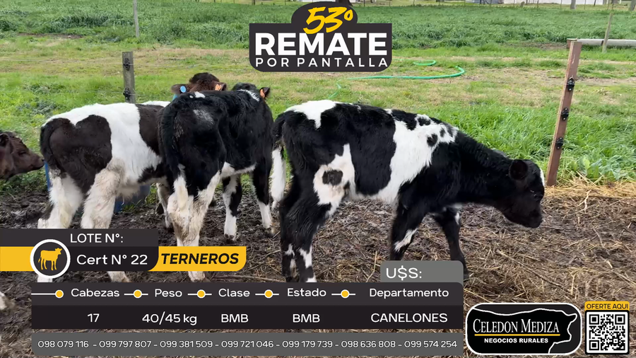 Lote 17 Terneros en Juanicó, Canelones