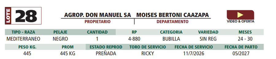 Lote LOTE 28