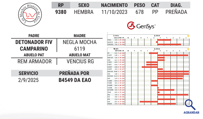 Lote LOTE 26