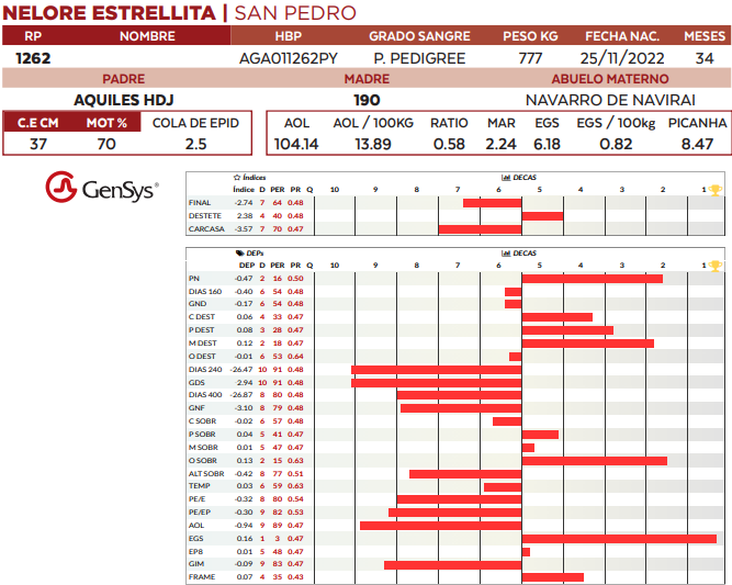Lote LOTE 14