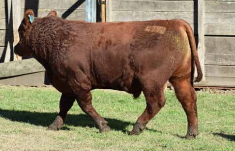 Lote CABAÑA "COEMBOTA" DE CALDERÓN RP 192