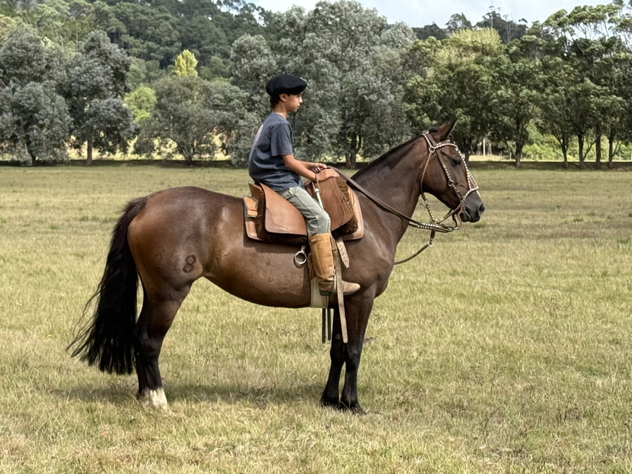 Lote CHAPACANAL AZUL