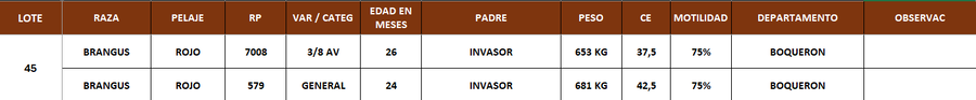 Lote LOTE 45