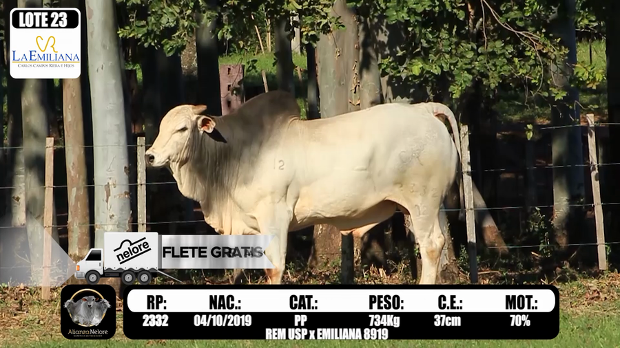 Lote LOTE 23 RP 2332