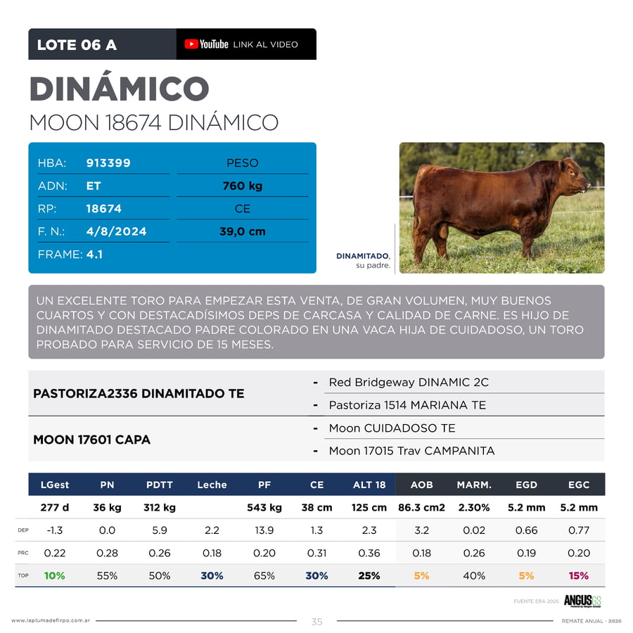 Lote RP 18674 Y 18628 Toro PP