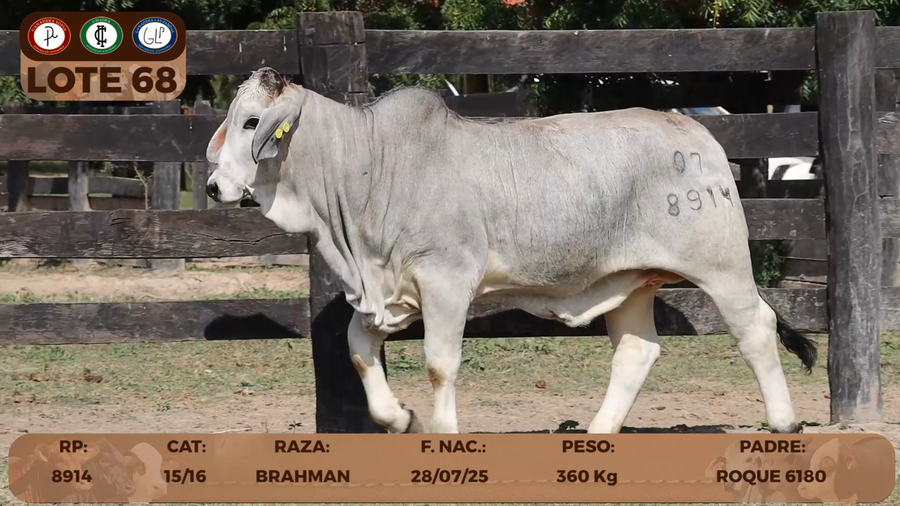 Lote LOTE 68- RESERVA DE CABAÑA