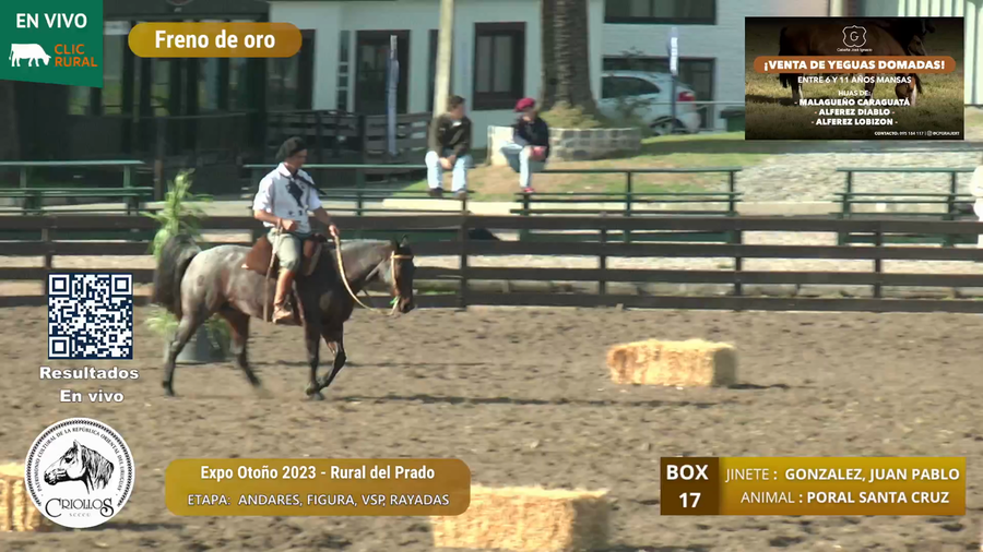 Lote PORAL SANTA CRUZ - CAMPIOTTI, JOSE MA