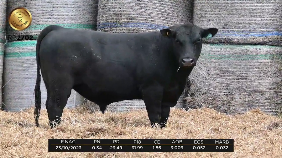 Lote LA SANTINA TAHOE 1872-2702