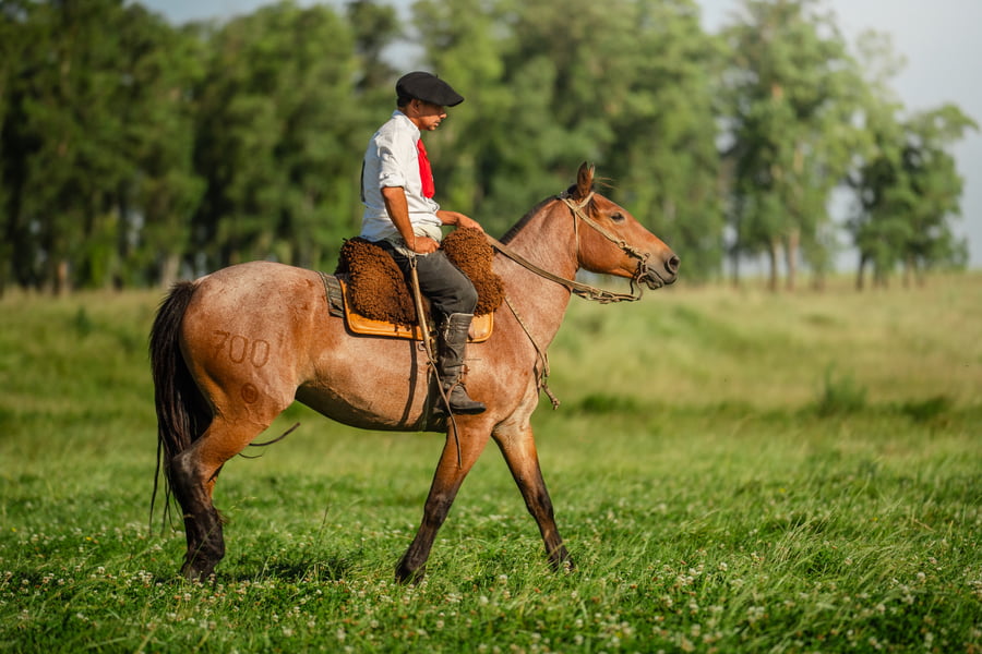 Lote Escabrosa Bordona