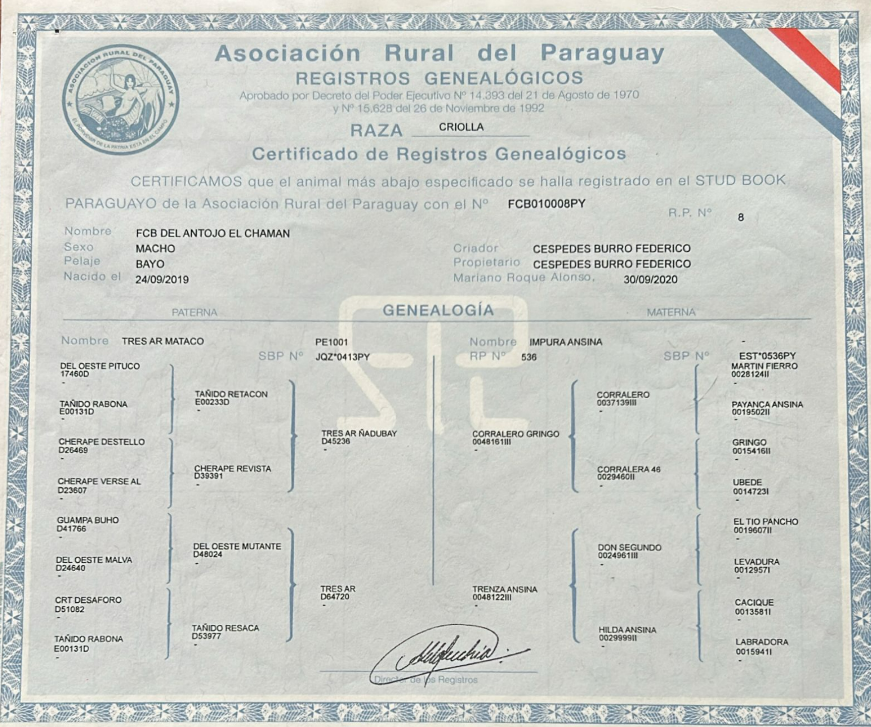 Lote LOTE 6 - DE BOZAL