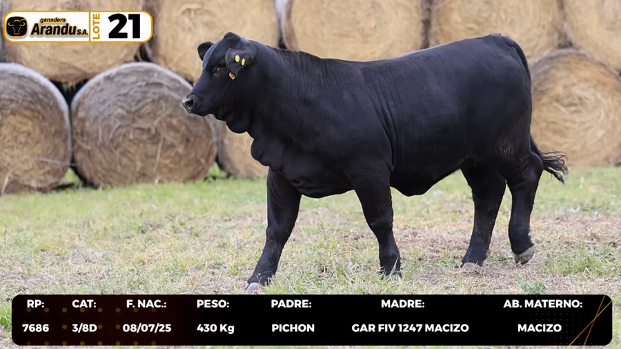 Lote LOTE 21