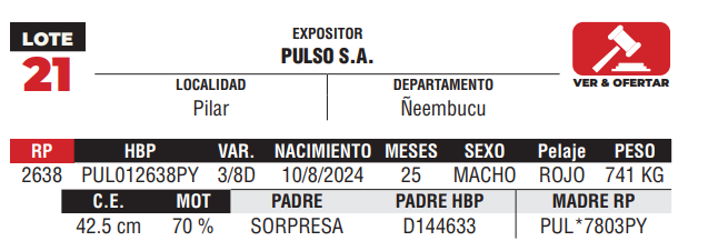 Lote LOTE 21 - DE CAMPO