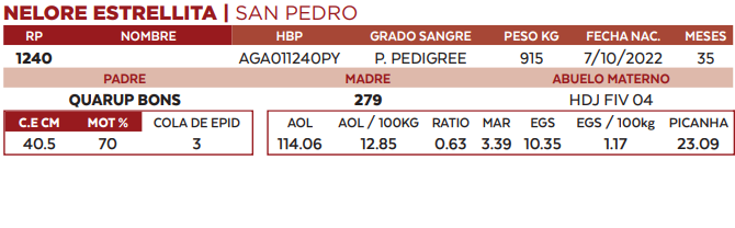 Lote LOTE 48