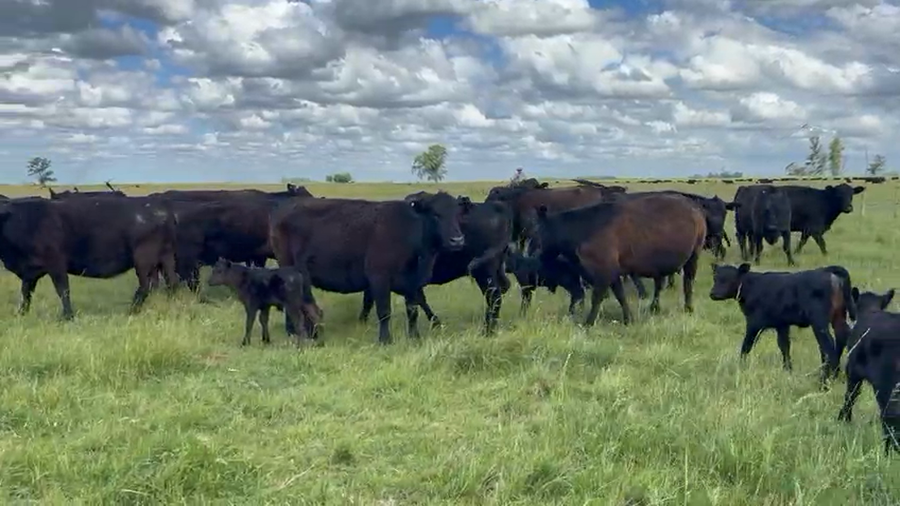 Lote 48 AL CTE NUEVAS Y MEDIO USO