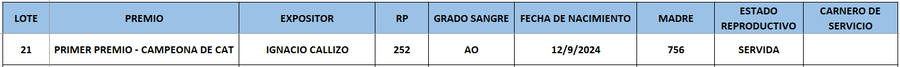 Lote LOTE 21