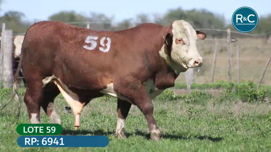 Lote Toros señal 22