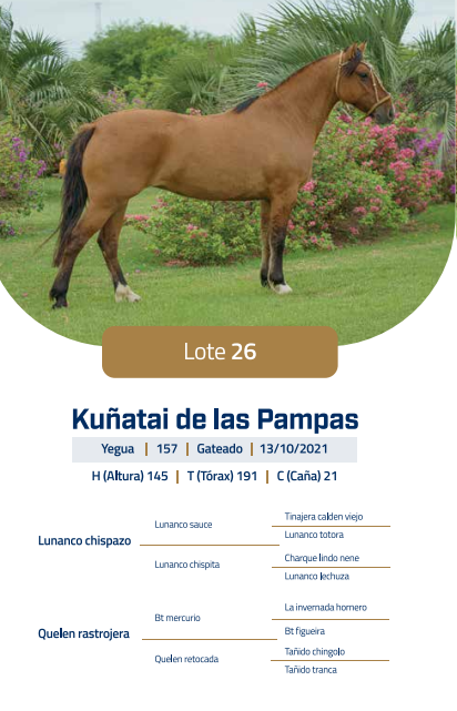 Lote LOTE 26