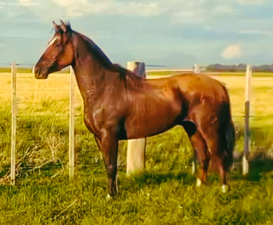 Lote Curahué Escondido