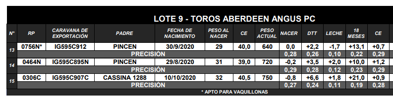 Lote TOROS ANGUS PC
