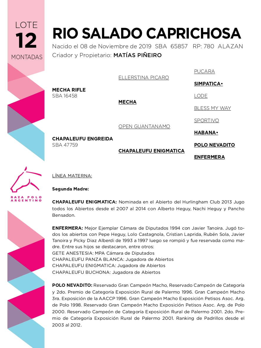 Lote RIO SALADO CAPRICHOSA (MECHA RIFLE - CHAPALEUFU ENGREIDA)