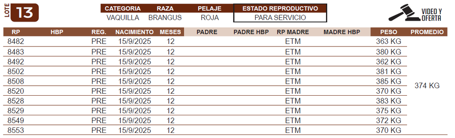 Lote LOTE 13