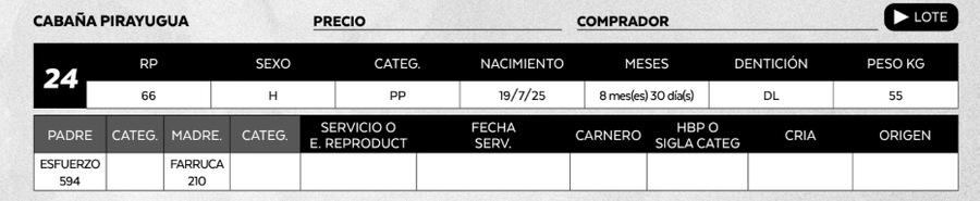 Lote LOTE 24