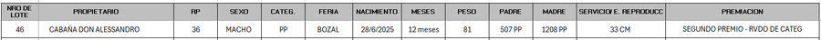 Lote LOTE 46 - BOZAL