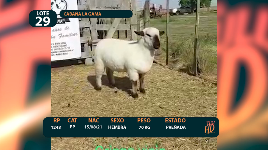 Lote LOTE 29 - CABAÑA ARGENTINA