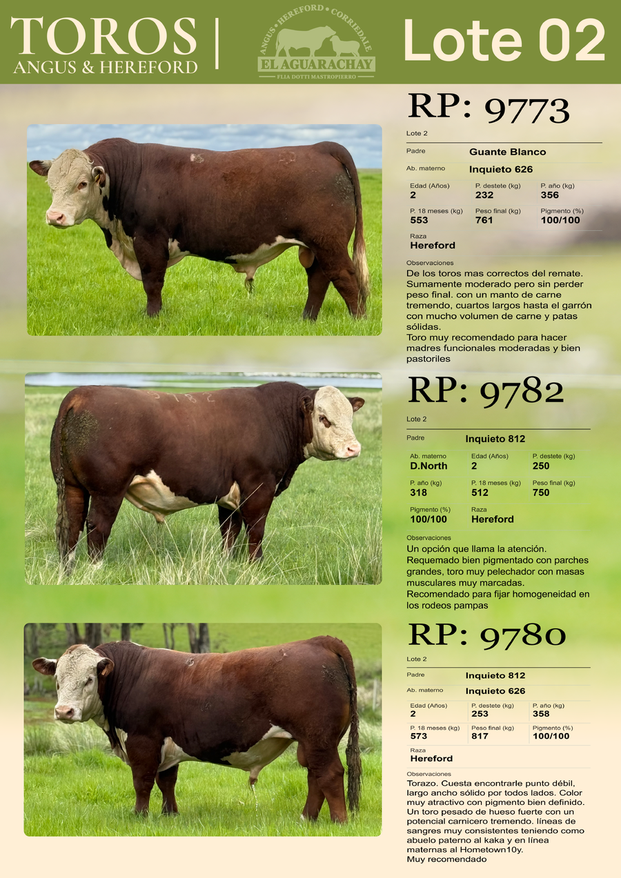 Lote LOTE 02
