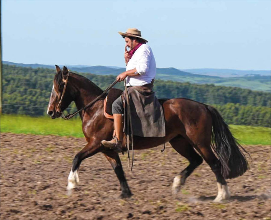 Lote El Gavilán Nube Blanca (RP 455) Cabaña "El Gavilán"